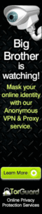 Torguard VPN service
