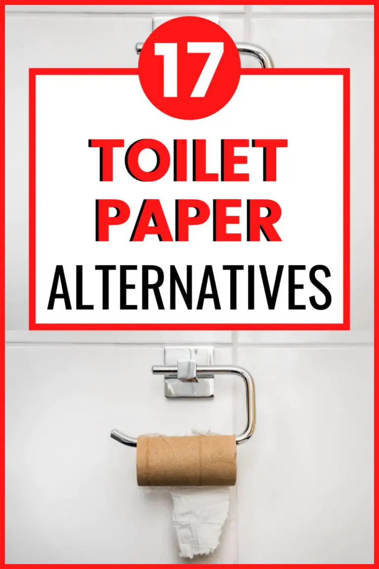 Toilet Paper Alternatives [17 Substitutes]