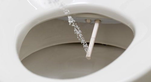 bidet as alternative to toilet paper