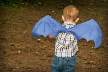 diy dragon wings costume