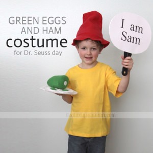 dr seuss costume