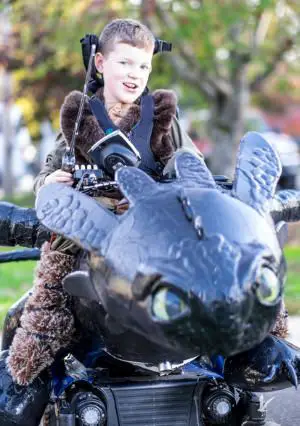 how to train your dragon costume
