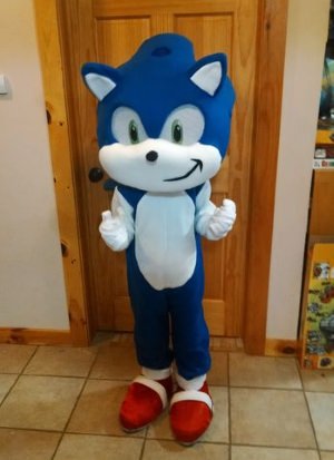 sonic the hedgehog halloween costume