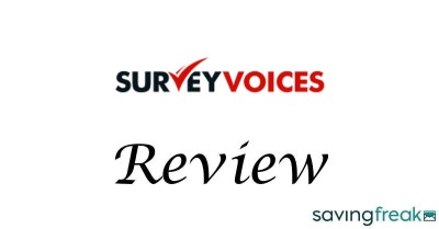 survey voices review